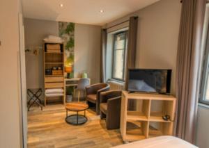 TV a/nebo společenská místnost v ubytování Hotel de l'Abbaye à Cluny