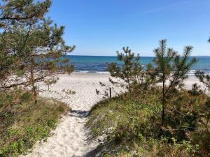 ユリウスルーにあるJuliusruh Bungalow am Strand 16の木々と海の砂浜