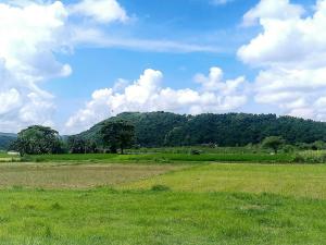 Příroda nedaleko prázdninového domu + 33 fotografií