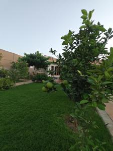 Φωτογραφία από το άλμπουμ του استراحة غوانا 