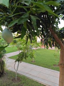 Φωτογραφία από το άλμπουμ του استراحة غوانا  +26 φωτογραφίες