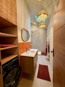 ein Badezimmer mit Waschbecken, Dusche und Spiegel in der Unterkunft Au cœur de Morbier in Morbier