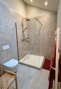 ein Badezimmer mit Dusche und Toilette in der Unterkunft Au cœur de Morbier in Morbier