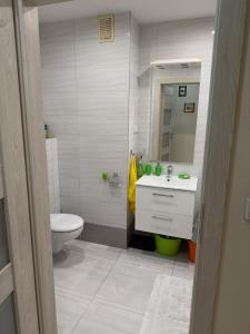 Koupelna v ubytování Apartament Karczówka