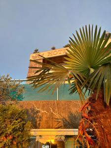 Φωτογραφία από το άλμπουμ του Ilio Boutique Swim Up Rooms στους Αγίους Σαράντα