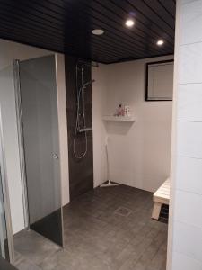 Koupelna v ubytování Villa Taika