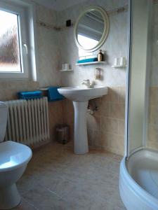 Koupelna v ubytování Apartment in Smrzovka 51888