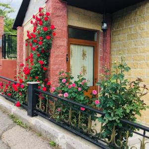 a house with red roses and a window at Arpi GuestHouse Dilijan in Dilijan