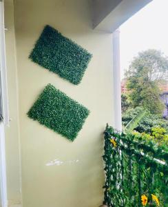 RuakaにあるEston Havenの家の壁に置かれた3つの緑の植物