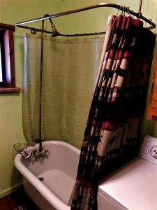 a bathroom with a bath tub and a shower curtain at Rustic Cabin Rental near Tonto National Forest in Payson, Arizona in Kohls Ranch