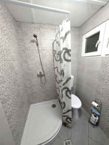 a small bathroom with a toilet and a shower at Holiday home in Balatonfenyves 38374 in Balatonfenyves