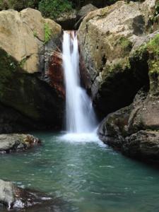 Fotografie z fotogalerie ubytování The Sandy Pearl Apartment v destinaci Luquillo