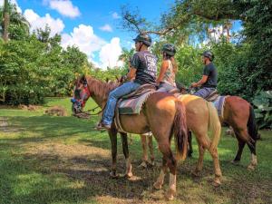 a group of people riding on horses in a field at The Sandy Pearl Apartment in Luquillo