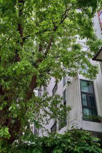 a white building with windows and trees in front of it at An Lac Hotel in Ho Chi Minh City