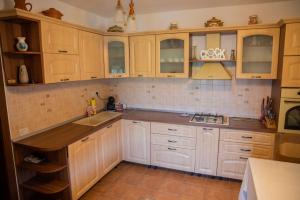 a kitchen with wooden cabinets and a counter top at Craii Neamtului in Almaş