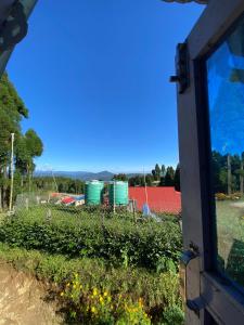 a view from a window of a field with flowers at Karfok Khalanga community homestay in Ilām