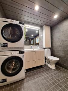 a bathroom with a washing machine and a toilet at Lusseeri in Kalajoki +11 photos