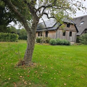 an old house with a tree in a yard at MOI -Magnifiek Overnachten In- Meppen in Meppen