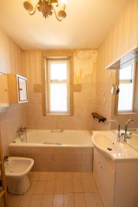 Ένα μπάνιο στο Château de Rosay - view & gardens +28 φωτογραφίες