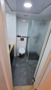 a bathroom with a toilet and a glass shower at Kings Apartments in Tiberias