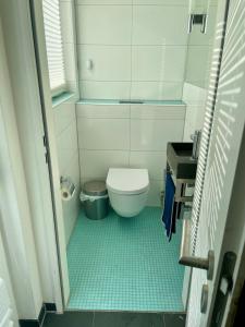a small bathroom with a toilet and a window at Your exclusive holiday home in Winterthur +5 photos