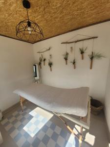 Φωτογραφία από το άλμπουμ του Gite espumante 