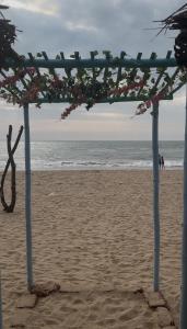 une pergola sur une plage avec l'océan dans l'établissement Secret Paradise, à Gokarna