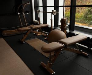 Γυμναστήριο ή/και όργανα γυμναστικής στο Park Lane Copenhagen