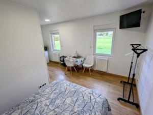 TV a/nebo společenská místnost v ubytování LE CHARME D OGNES