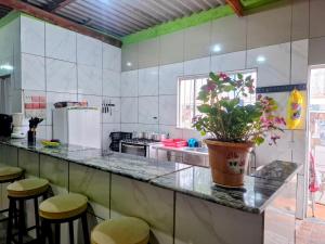 eine Küche mit einer Theke mit einer Topfpflanze darauf in der Unterkunft Chacara Rancho da Cris in Ibiúna