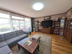 a living room with a couch and a tv at Holiday home in Zamardi - Balaton 54796 in Zamárdi