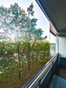 Φυσικό τοπίο κοντά σε αυτό το διαμέρισμα