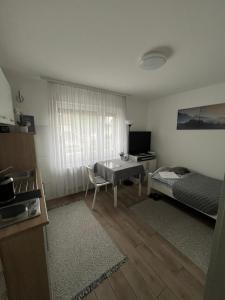 TV a/nebo společenská místnost v ubytování Rooms in Düsseldorf near the Airport/Fair