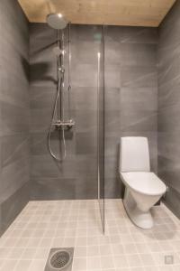 ein Badezimmer mit Toilette und Dusche in der Unterkunft Ruka Trek Gasthaus & Hard Trek Café in Kuusamo