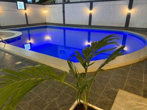 a swimming pool with a plant in front of it at Hôtel Phoenicia in Brazzaville
