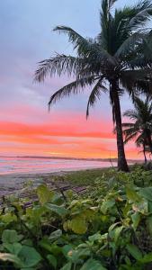 a beach with a palm tree and the ocean at Lola Sayong Meredith in Gubat