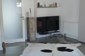 een woonkamer met een televisie en een kussen op de vloer bij Haus Speckgürtel Hamburg in Henstedt-Ulzburg