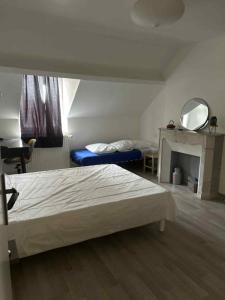 a bedroom with a bed and a mirror and a fireplace at Appartement Peronne Centre in Péronne