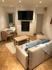 een woonkamer met een bank en een flatscreen-tv bij Magnifique Suite - Fox Duke South Vieux Village in Les Angles Gard