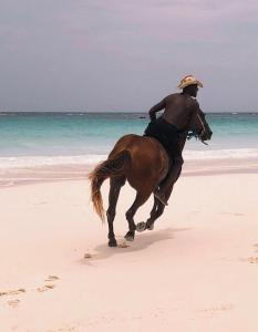 a man riding a horse on the beach at Tickled Pink in Harbour Island
