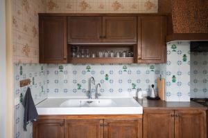 eine Küche mit einem weißen Waschbecken und Holzschränken in der Unterkunft Chalet Echalas in Échalas + 21 Fotos