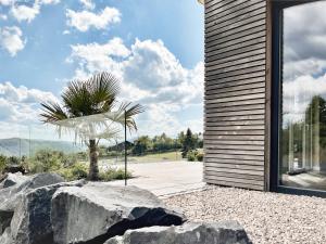 ein Haus mit einer Palme und Felsen in der Unterkunft LuxApart Eifel mit privater Sauna in Harscheid