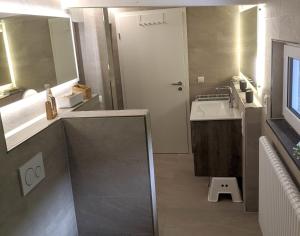 a bathroom with a sink and a mirror at Ferienhaus Schieferterrasse - Waldsee Rieden - in Rieden +44 photos