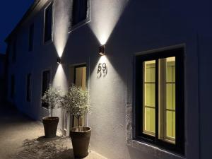 a building with two potted plants and lights on it at Le loft chambre et salon climatisés in Croix-Chapeau