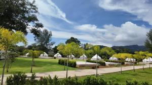 Příroda nedaleko luxury tent