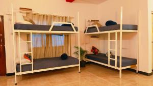 two bunk beds in a room with at Mitra Palolem in Canacona