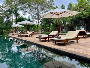 Bazén v ubytování The Forest nebo v jeho okolí