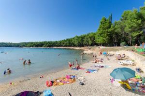 een groep mensen op een strand in het water bij Apartments Medelin in Rovinj