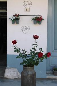 a vase with red flowers in it next to a door at Appartement Détente in Chamole