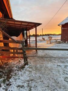 GrillbyにあるVerkestaberg by Tiny Awayの雪塀の後ろに立つ馬